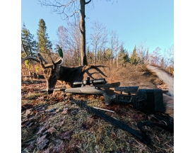 Michigan Rifle Season 2024